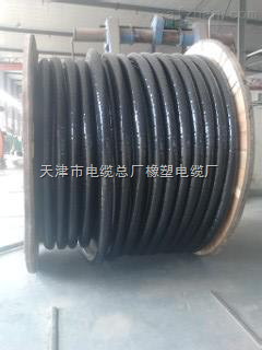 设备用线NH-YJV22 3*50+2*25 【小猫牌】