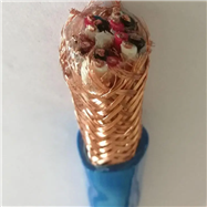 煤矿用计算机电缆 抗干扰
