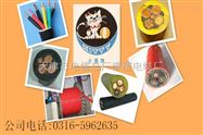 30*2*0.5充油通讯电缆每米价格