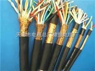 供应 DJYP2V 450V 计算机电缆【DJYP2V 1-24对】