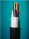 计算机电缆 DJYP2V 24*2*1 24对 电缆参表