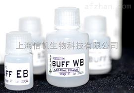 植物基因組DNA提取試劑盒*