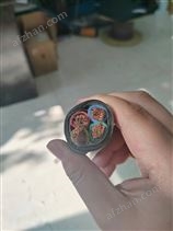 屏蔽软电缆RVVP 16*1.0