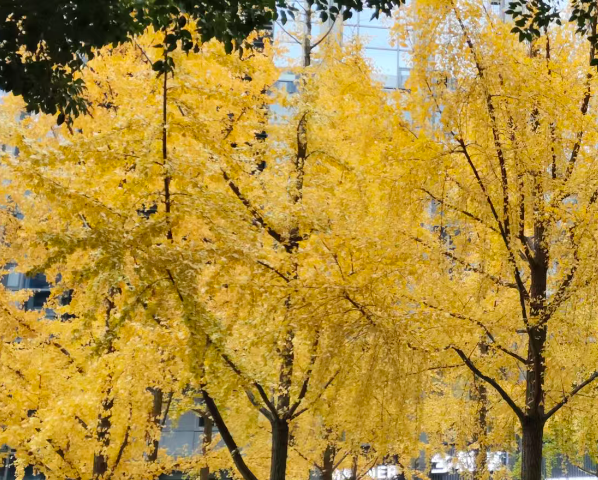 算力下海：省电省地九成，陆上数据中心还香吗？