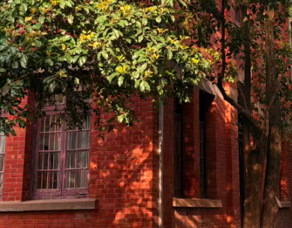 湖北省委书记王忠林在武汉调研人工智能产业发展工作