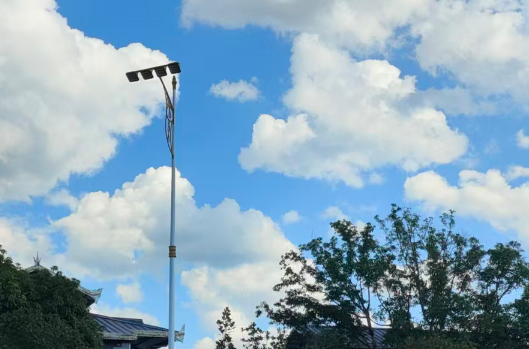 专家解读文章之二 | 深入推进新形势下的节能降碳工作 加快经济社会发展全面绿色转型