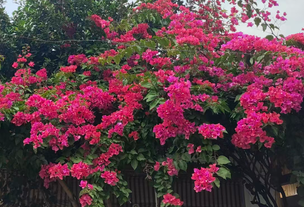 海康威视亮相2026高等教育智能化发展大会，共筑智慧教学新空间