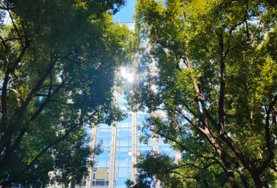 新紫光集团全家桶正式发布，首次整体展示其面向AI时代的全产业链布局