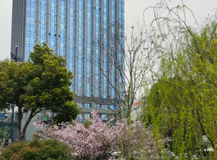四维图新亮相上汽大众技术展 助力车企加速座舱体验升级与全球化布局