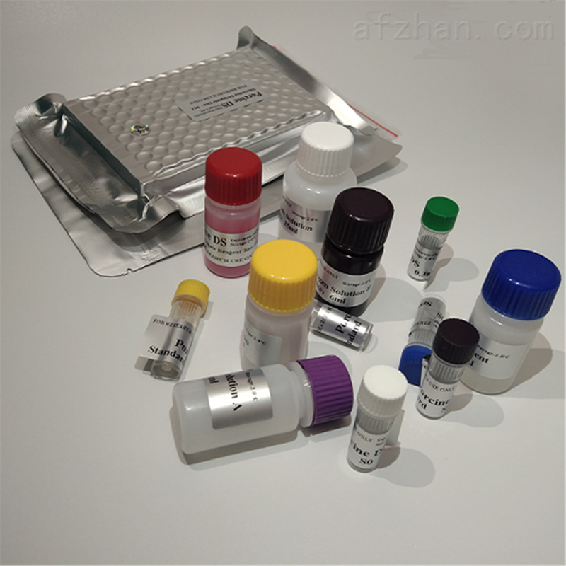 甘油三酯试剂盒