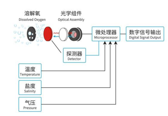 云境天合溶解氧传感器核心原理&mdash;依托荧光寿命法实现水体溶解氧的稳定测量
