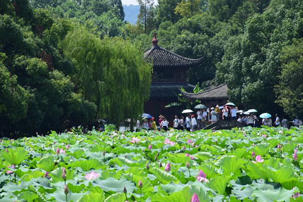 四方面13項(xiàng)重點(diǎn)任務(wù)！《“美麗江蘇”生態(tài)環(huán)境志愿服務(wù)行動方案（2025—2027年）》發(fā)布